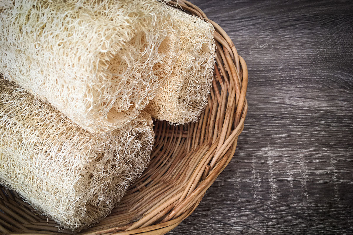 L'Éponge Douce en Loofah Naturel